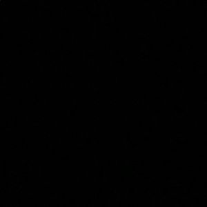 Meet your Posher, Brody